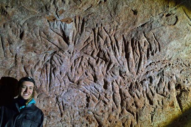 Claw marks left in the tunnels.