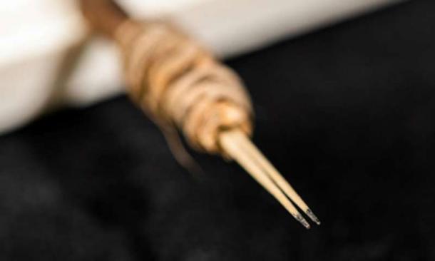 Close up of the 2,000-year-old cactus spine tattoo tool’s inky points. (Bob Hubner/WSU)