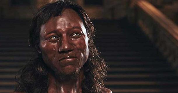 Close up of the model of Cheddar Man rendered by Kennis & Kennis Reconstructions