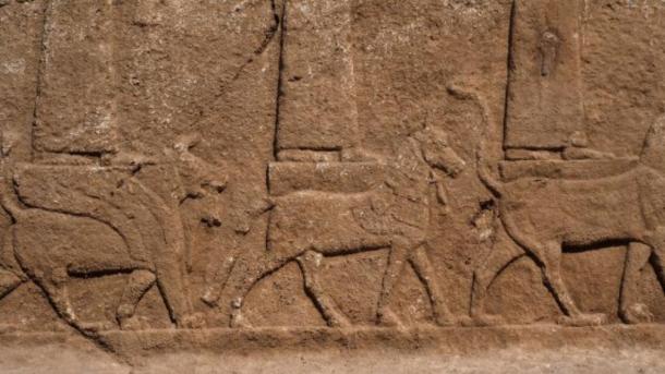 Close up of the Assyrian relief carvings showing some of the gods and goddesses standing or seated on a mythical creature. (Alberto Savioli / Land of Nineveh Archaeological Project / University of Udine)