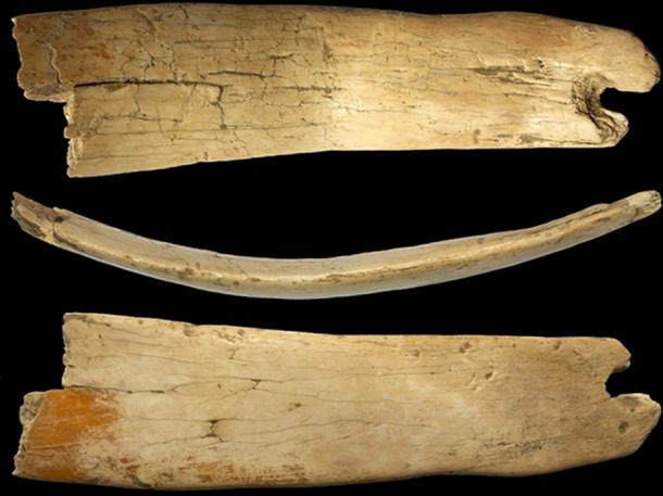 Closer pictures of the woolly mammoth ivory headband. (Novosibirsk Institute of Archeology and Ethnography)