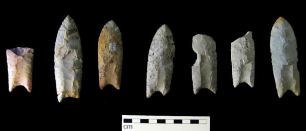 Clovis points in the Iowa Office of the State Archaeologist collection. (Billwhittaker/ CC BY-SA 3.0)