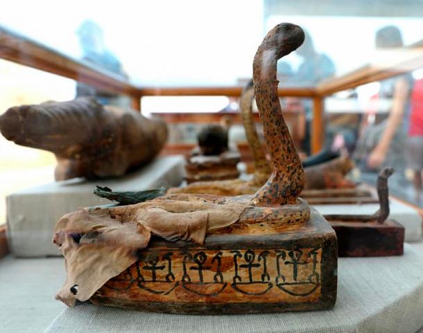 Cobra sarcophagus containing a mummified snake.