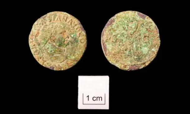 Coins found at the Roman burial site dating back to Roman Emperor Vespasian. (Wessex Archaeology)