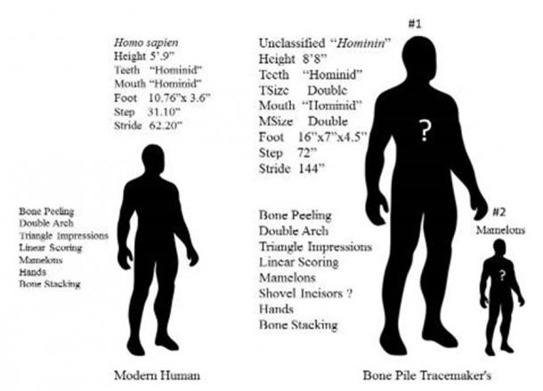 Conclusions image from Mills and Townsend 2016