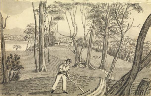 Convicts at work turning the Australian bush into a tamed cultivated field. (Allport Library and Museum of Fine Arts, Tasmania Archive and Heritage Office / Author provided)