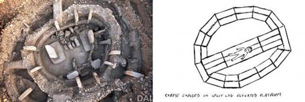 Corpses were placed on platforms discovered in the Gobekli Tepe stone circles, inviting vultures and other meat-eating birds to de-flesh the bodies. (Author provided)