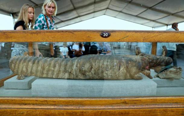 Crocodile sarcophagus found in the tomb comple