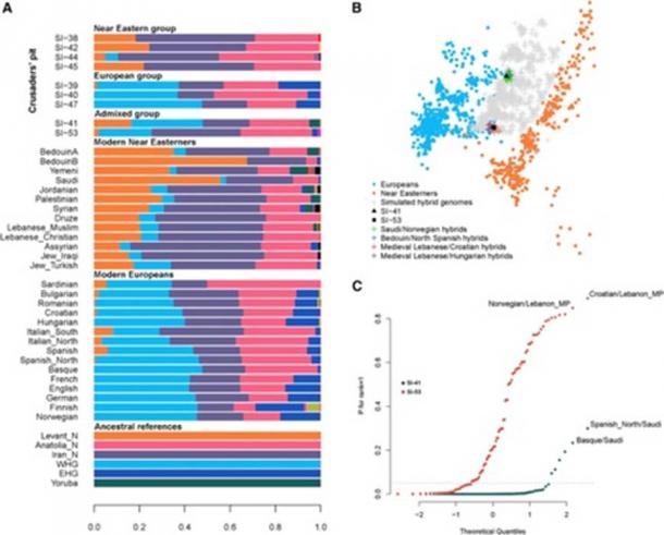 Results from the Crusaders’ DNA and the median of the ancestry proportions found in modern populations. (Claude Doumet-Serhal / Fair Use)