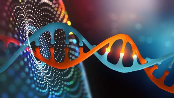 Una imagen de la hélice del ADN que sugiere los poderes de la IA o los métodos de aprendizaje profundo para aprender más sobre la evolución del genoma humano. (Siarhei / Adobe Stock)
