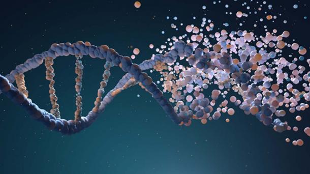 DNA strand assembling from different elements. (Tatiana Shepeleva / Adobe)