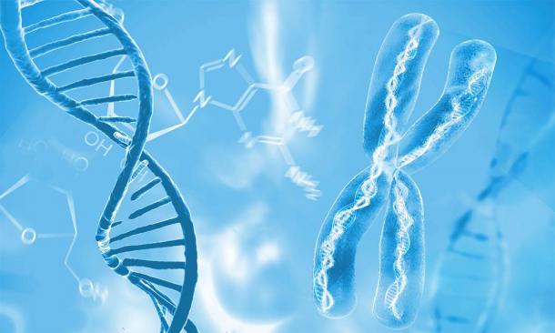 Moléculas de ADN de doble hélice y cromosomas: la evidencia forense que prueba el mestizaje humano temprano y cuándo. (Giovanni Cancemi/Adobe Stock)