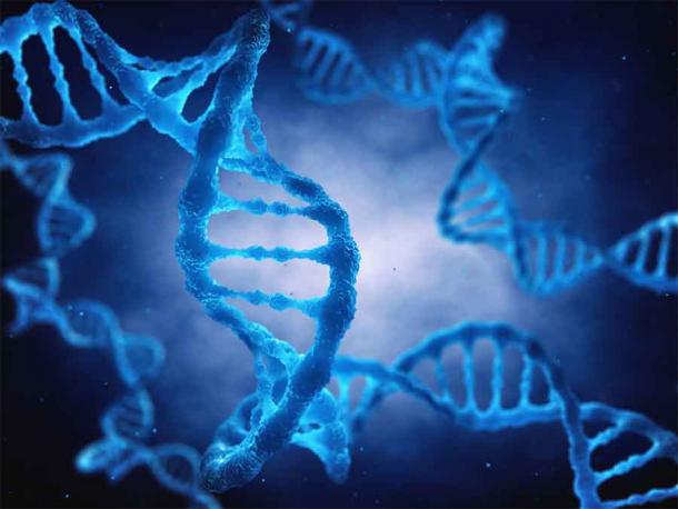 La molécula de ADN de doble hélice es el modelo genético de la vida. El estudio reciente sobre la antigua pandemia de coronavirus en el este de Asia se basó en el ADN y la evidencia genética. (nobeastofierce / Adobe Stock)