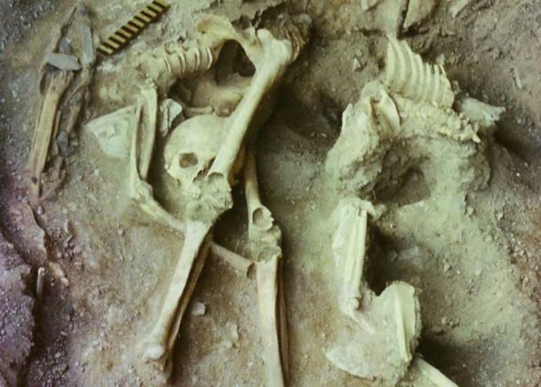 DNA sequenced from Altai hunter-gatherers has shed light on the genetic origins of Bronze Age groups across the Central Asian steppe, revealing east-west migration to Siberia. (Artur L. Kungurov / Current Biology)