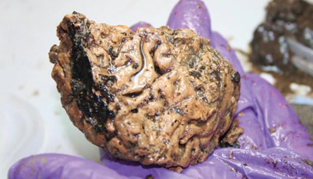 Decapitated Skull Holds Remarkable Find - Oldest Preserved Brain in Britain