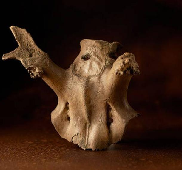 Deer antler headdress from the Scarborough Collections. 