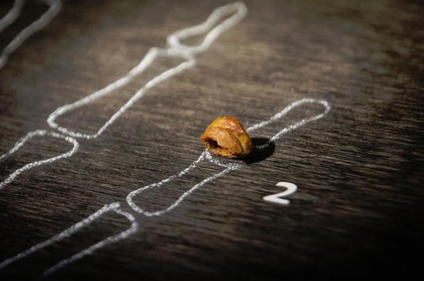 Discovered in 2008, the Denisova Cave phalange (replica), Museum of Natural Sciences in Brussels, Belgium.