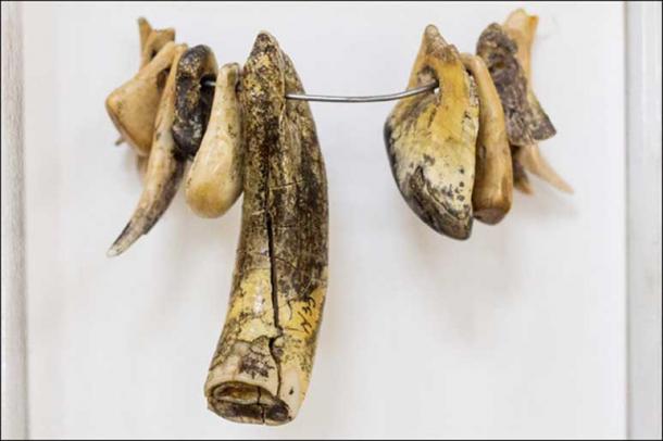 Denisovan necklaces and pendants. Pictures: Mikhail Shunkov, The Siberian Times