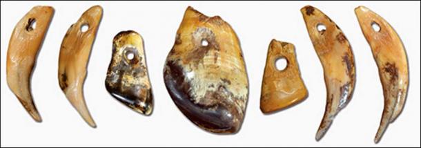 Denisovan necklaces and pendants. Pictures: Mikhail Shunkov, The Siberian Times