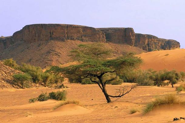 Desert scenes are characteristic of the Mauritanian landscape, where the stolen stones and fossils originated 