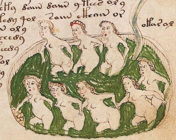 Detail from the Voynich Manuscript, one of the most curious undeciphered ancient manuscripts discovered to date. (Public domain)