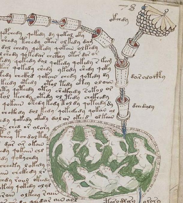 アート・デザイン・音楽 THE VOYNICH MANUSCRIPT アート・デザイン・音楽 THE VOYNICH MANUSCRIPT Voynich manuscript