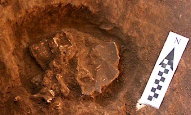 Detail of human remains in situ at Tron Bon Lei in Test Pit C. Source: ANU / Fair Use.