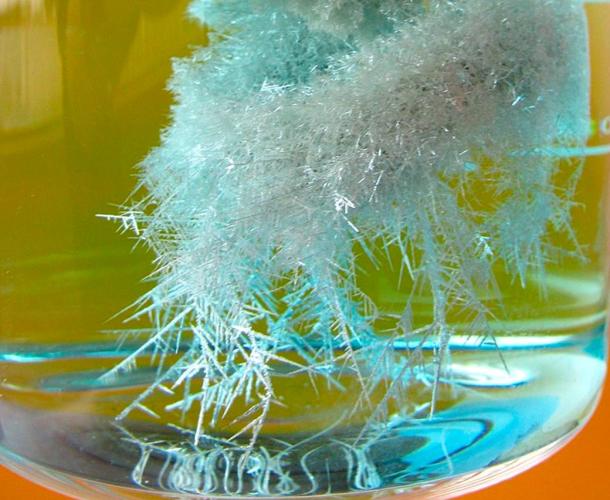Well-developed Diana's tree (Philosopher’s Tree) grown up over copper rod from silver/mercury amalgam placed in 0.1 M solution of silver nitrate - reaction time 2 hrs.