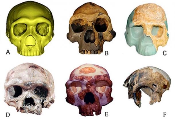 Diferentes tipos de fósseis de seres humanos antigos