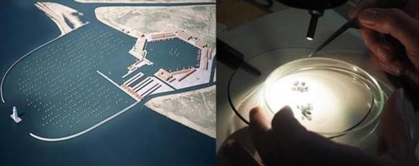 (l) Digital Reconstruction of Portus Romae. Image Credit: Portus Project/Artas Media (r) 1,700-year-old charred wheat grains from Portus Romae