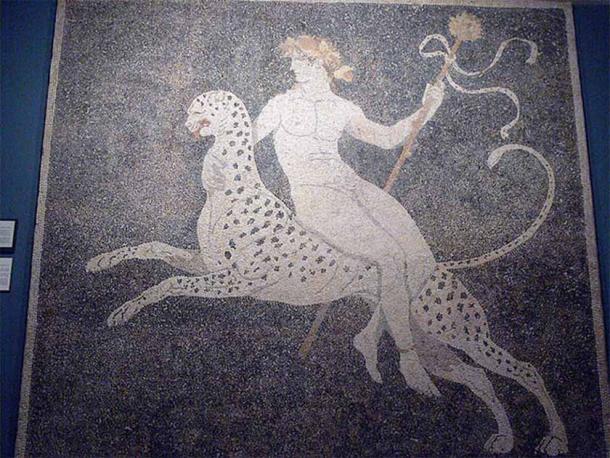 Dionysus riding a panther, mosaic floor in the 'House of Dionysus' at Pella. (Late 4th century BC) Pella Archaeological Museum (Fingalo/ CC BY-SA 2.0)