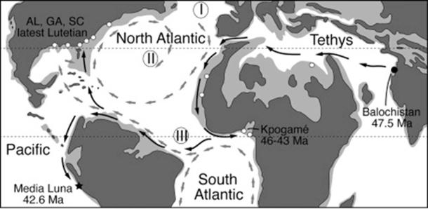 Distribution of Protocetid Whales during the Middle Eocene, the period of the ancient whale. (G. Bianucci / Cell Press/Fair Use)