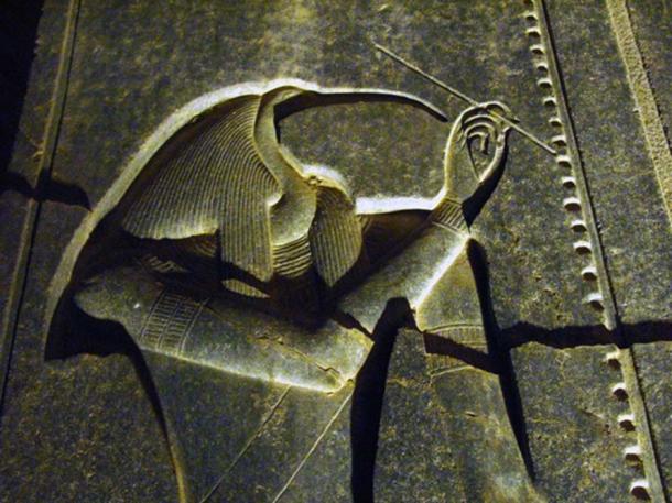 Djehuty (Thoth) in the Luxor Temple by night. (CC BY-NC 2.0)