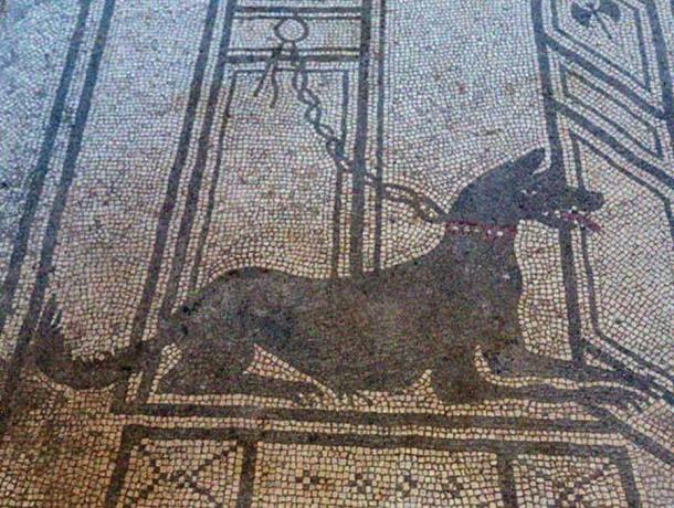 Dogs in ancient Rome were pets, companions, security guards, and war dogs. (Sergii Figurnyi / Adobe Stock)