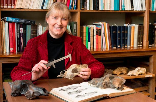 Dr Mietje Germonpre, from the palaeontology department of the Royal Belgian Institute of Natural Sciences, travelled to Yakutsk to see them.