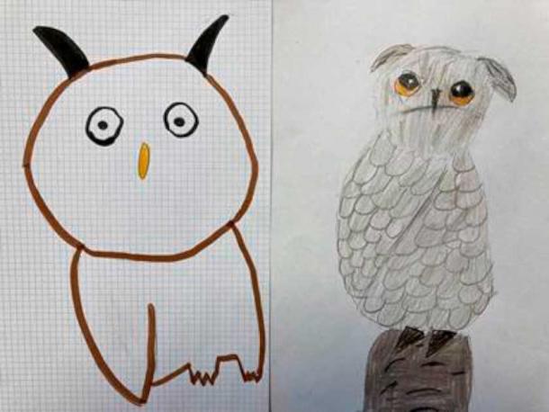 Drawings of owls by children aged 6 - 9 years. (Juan J. Negro / CC BY 4.0)