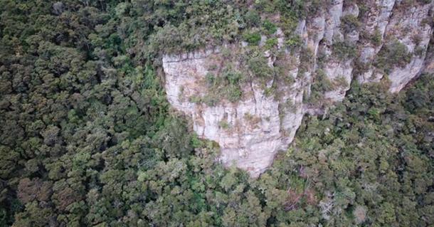 Drones were used to scan the cliff and the surrounding forested area