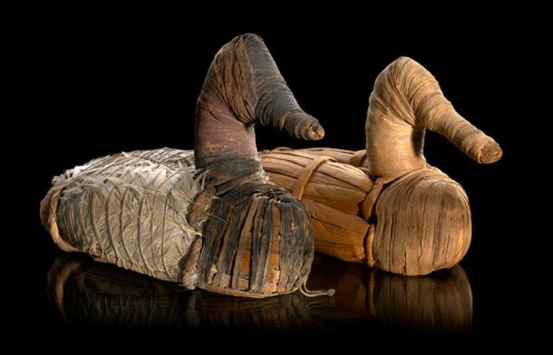 Señuelos de pato encontrados en la cueva Lovelock desde alrededor del 400 a. C. hasta el 100 d. C., ahora en exhibición en el Museo Nacional del Indio Americano. (smithsoniano)