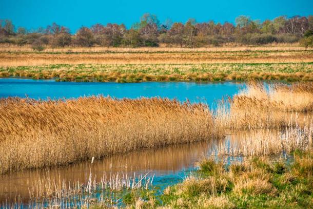 During the 11th century, the landscape surrounding the Isle of Ely in Cambridgeshire was made up of marshy fenland swamp, impenetrable by those who were new to the area and ideal for a heroic local outlaw such as Hereward the Wake to hide out. (Andrew / Adobe Stock)