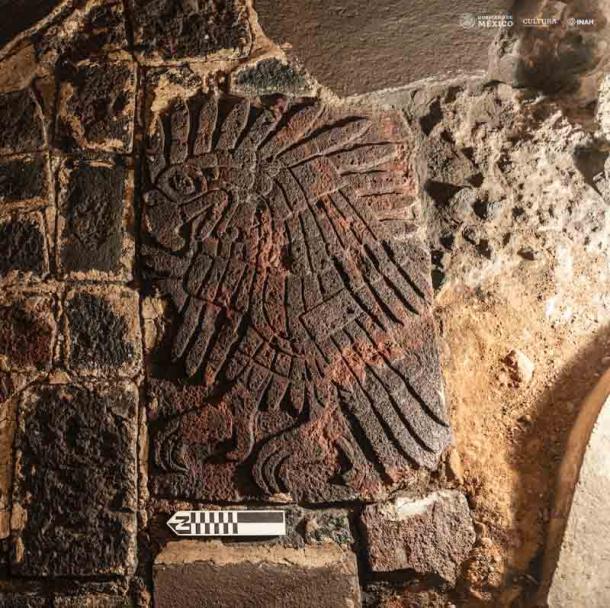 El bajorrelieve del águila real, que mide 1,06 metros (3,47 pies) de largo y 0,7 metros (2,26 pies) de ancho, fue descubierto en el costado sur del Templo Mayor en la Ciudad de México (Mirsa Islas / INAH)