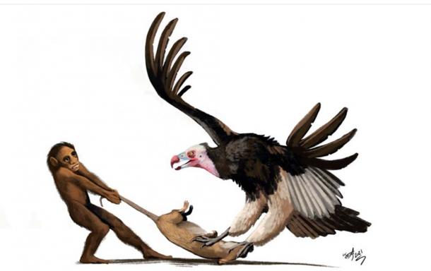 The Ebu Gogo are humanoid-like creatures that appear in Flores, Indonesian mythology.  (hodarinundu/Instagram)