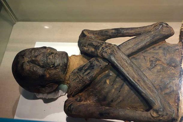 Egyptian mummy exhibit, Albany Institute of History and Art 