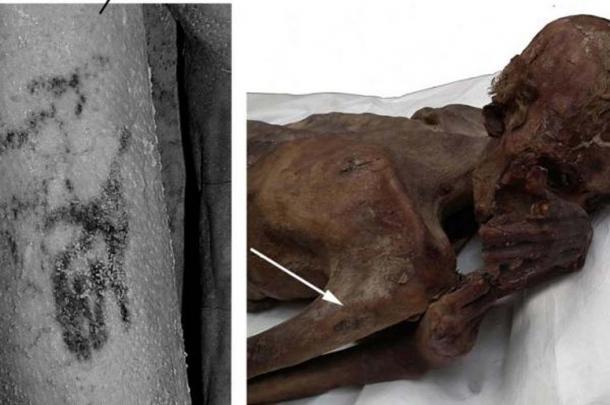 Researchers found the image of a wild bull and Barbary sheep inked on the arm of an ancient Egyptian mummy.