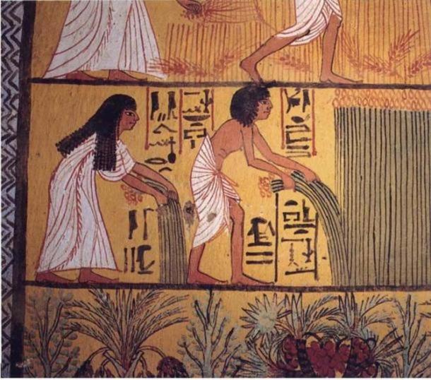 Egyptian peasants harvesting papyrus, mural painting in Deir el-Medina (early Ramesside Period)