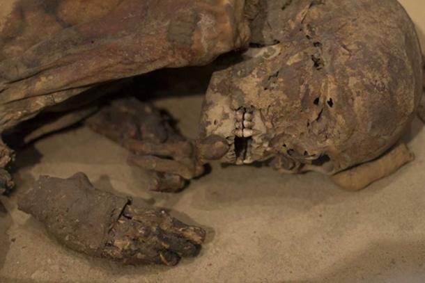The mummy dates from Egyptian prehistory, before the classic Pharaonic period. (Image: ©Fotolia)