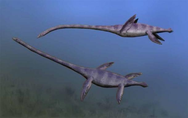 Elasmosaurus platyurus swimming with long, straight necks. (Nobu Tamura/CC BY-SA 3.0)