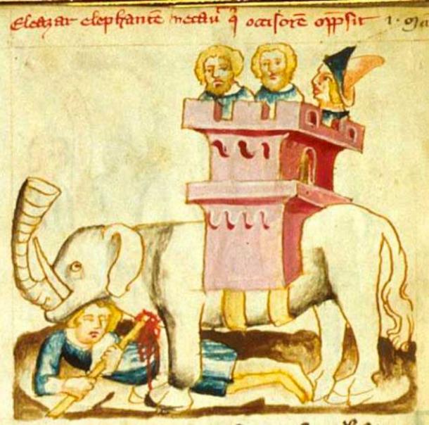 Otra muerte extraña: Eleazar Avaran mató heroicamente a un elefante en la batalla, solo para morir aplastado por su cuerpo. (Dominio publico)