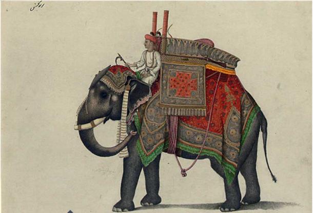 Elephant and driver, probably from the Mughal Emperor's stable with a hunting howdar, including pistol, bows and a rifle inscribed 'Maula Bakhsh' (in Persian, upper left) and further inscribed (centre left) pencil and watercolour heightened with bodycolour and gold. (Public Domain)