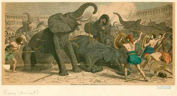 Elephants slaughtered for entertainment. (Public Domain)