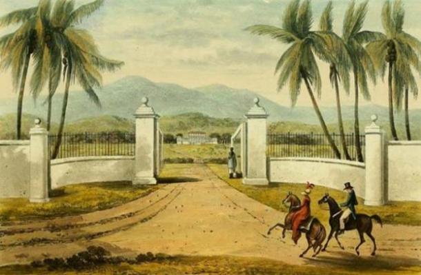 Гравирайки от „Живописна обиколка на остров Ямайка“ на Джеймс Хейкуил (рисунки, направени през годините 1820 и 1821), тя показва имението Роза Хол.